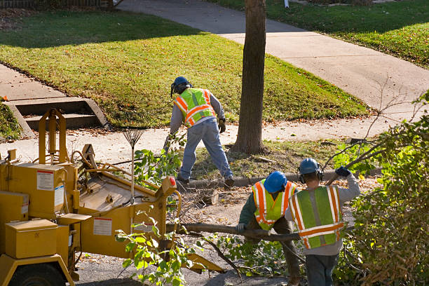 Best Arborist Consultation Services  in Estell Manor, NJ